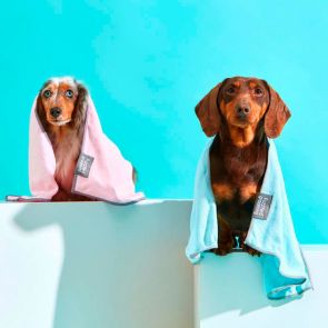FuzzYard Puppy Microfibre Dog Towel - 2 Blue & 2 Pink [SAVE $6.92]