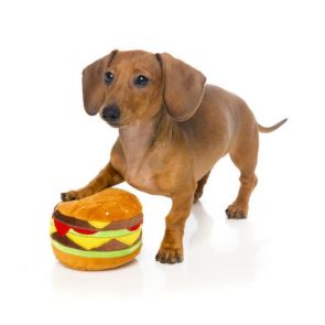 FuzzYard Hamburger Plush Dog Toy
