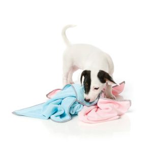 FuzzYard Puppy Microfibre Dog Towel - Pink