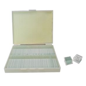 Saxon Pre-Cleaned Blank Slides Kit (100 pcs)