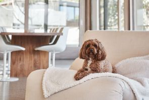 Snooza Calming Woolly Dog Blanket - Natural