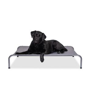 Superior Pet Dreamy Days Raised Dog Bed - Grey & Silver
