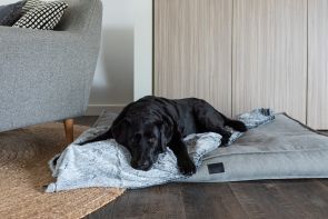 Superior Pet Calming Dog Blanket - Artic Faux Fur